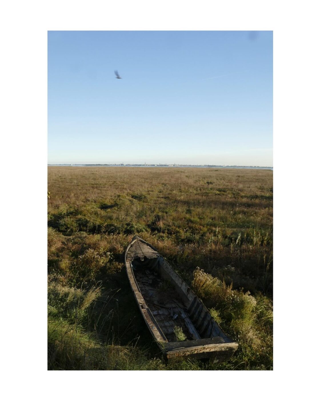 An old wooden boat resting in a marsh