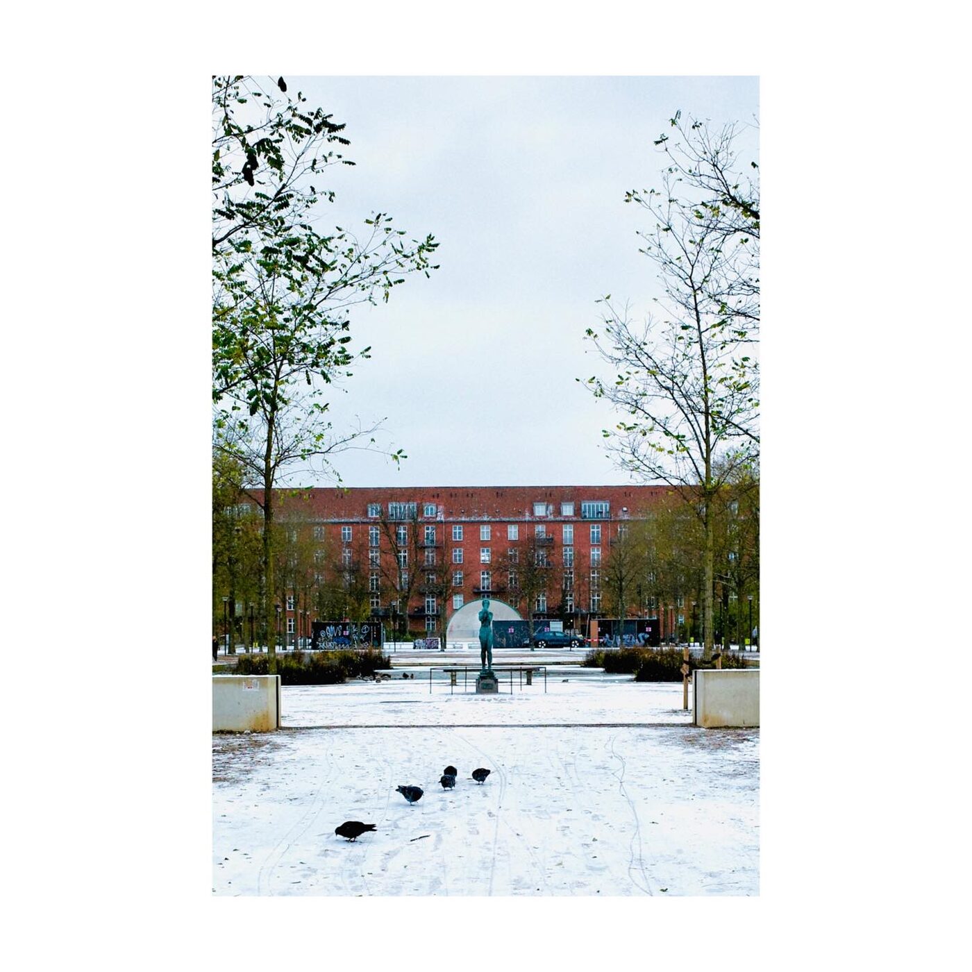 A snowy park path with birds
