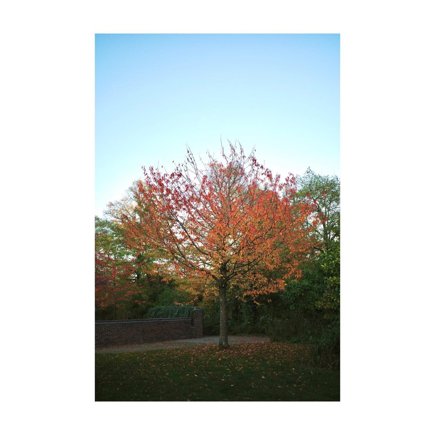 Quiet Ground