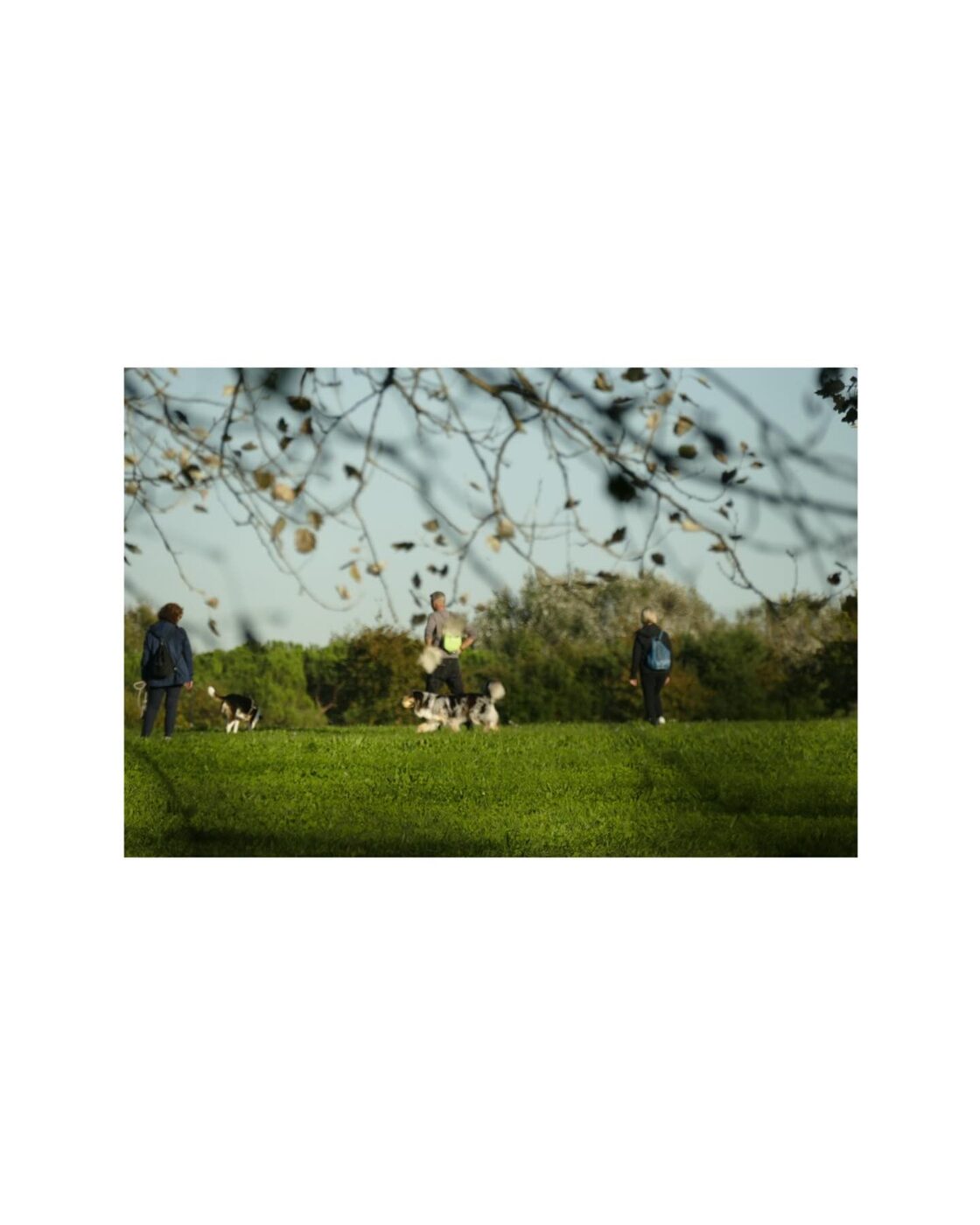 Green Hour