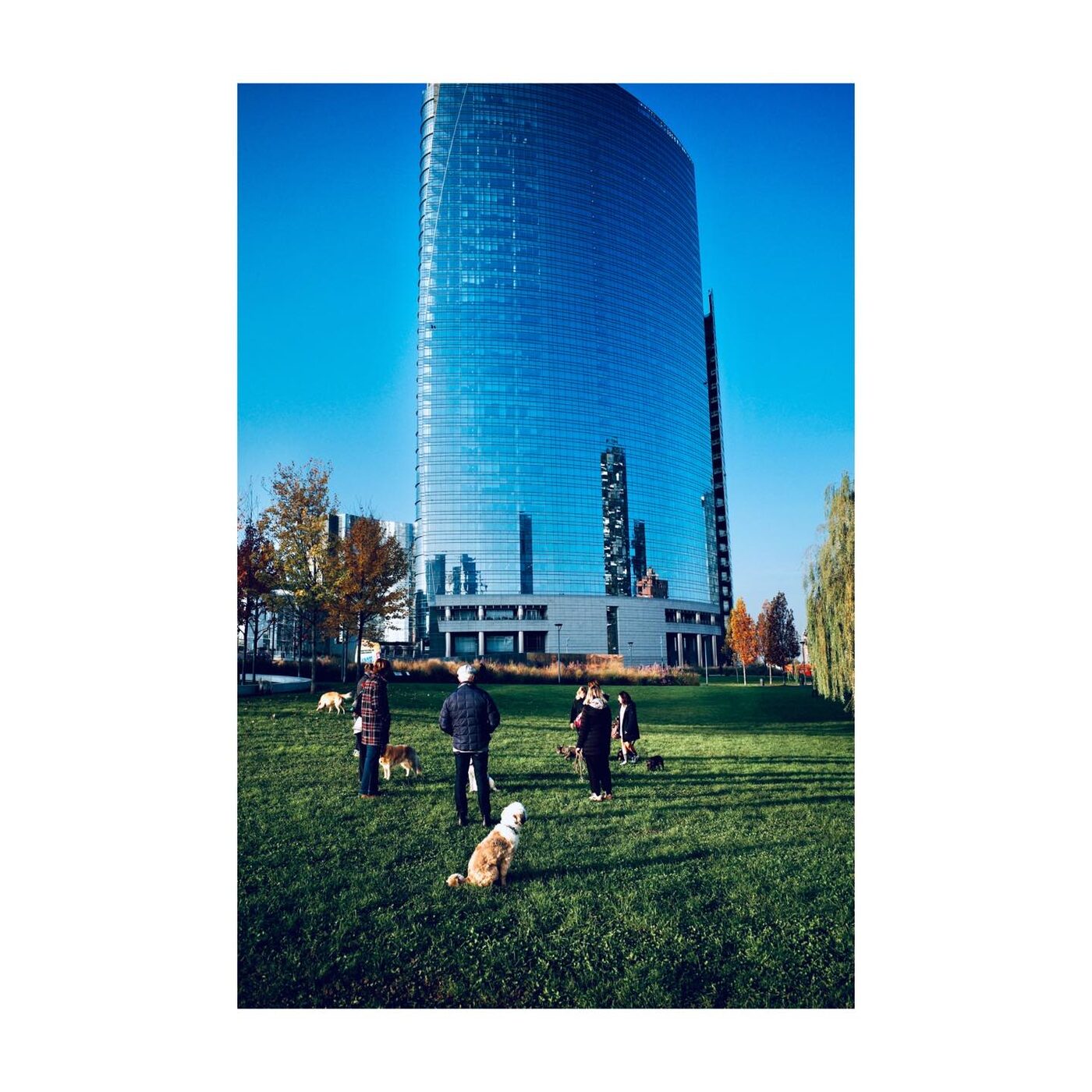 Field Study