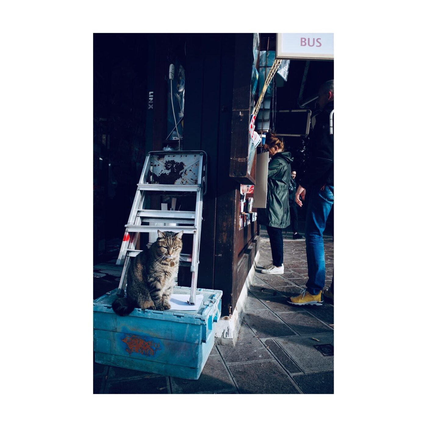 A candid moment at a market stall