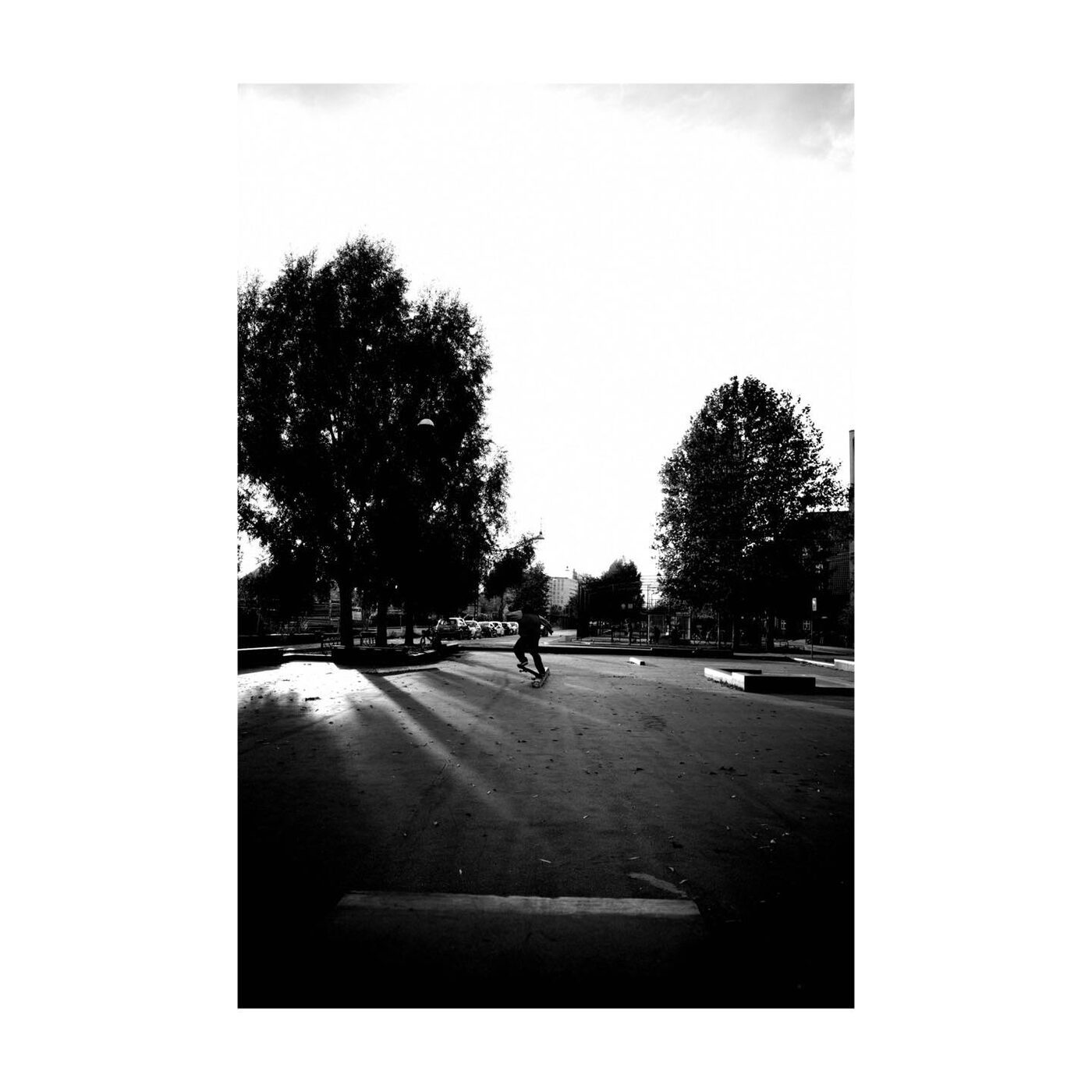 Black and white shadows of trees on the ground