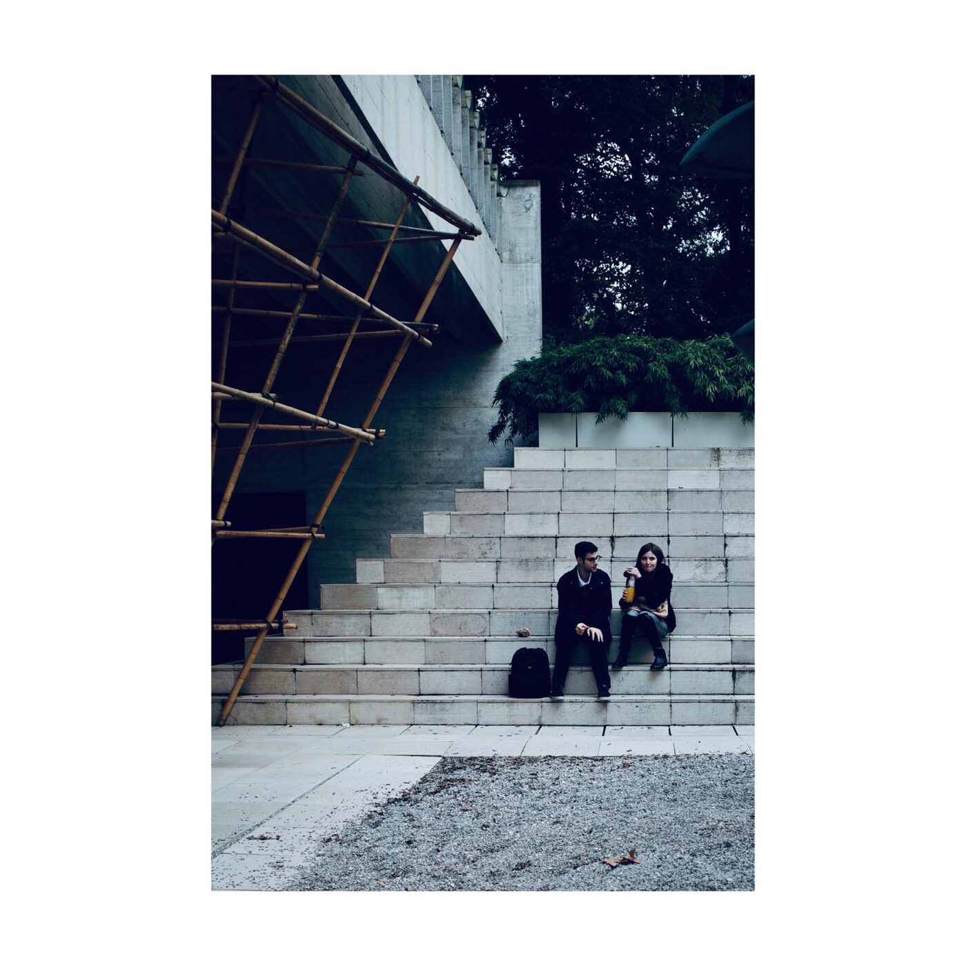 Pavement View