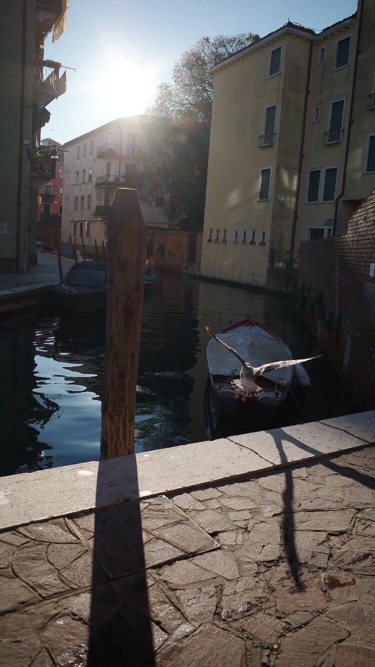 Street Frame