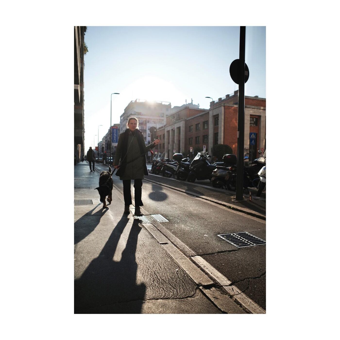 Pavement View